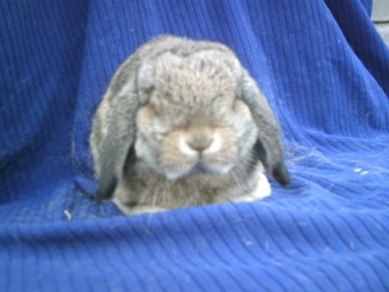 titch.jpg